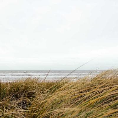 Ăn Kiêng Khổ Sở, Vẫn Béo: Bí Mật Nào Đằng Sau?