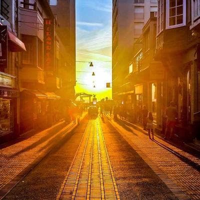 Đế Chế Chuối United Fruit: Khi Trái Cây Trở Thành Vũ Khí Hủy Diệt Một Quốc Gia