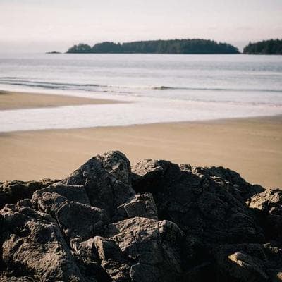 Nghịch Lý Nintendo 1983: Khi 'Bàn Tay Sắt' Cứu Sống Cả Một Đế Chế